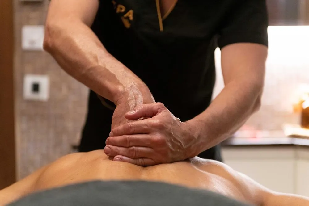 Grand Plaza Hotel & Wellness Andorra la Vella